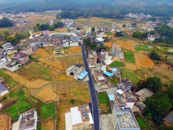 【喜讯】南山区工商联被广东省农村工作领导小组表彰为2019—2020年