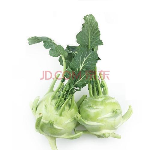京道 苤蓝疙瘩 大芥菜疙瘩撇了芥蓝大头菜蔬菜 4.5kg