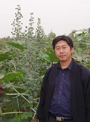 蓖麻育种课题组首席专家王光明研究员,1964年10月生于山东省淄博市