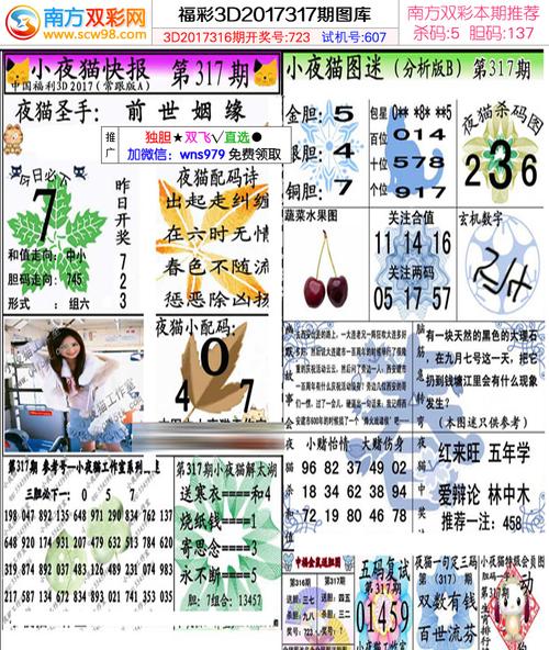 317期福彩3d小夜猫综合版