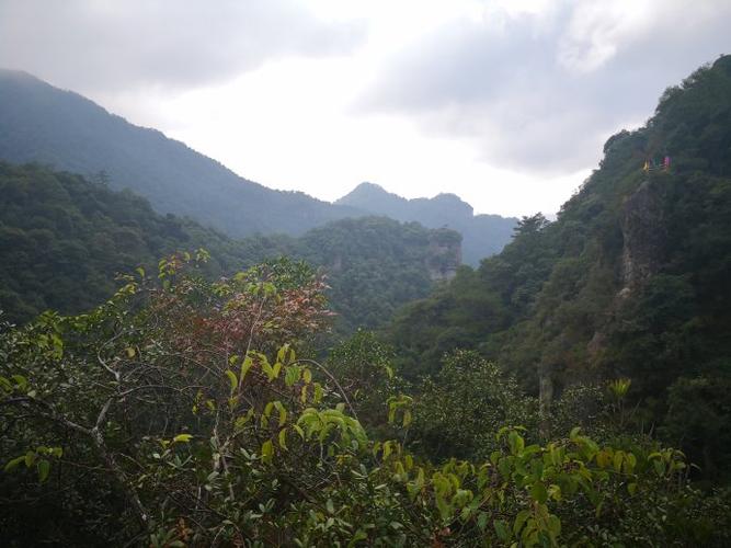 福州永泰藤山自然保护区-青云山02(20181125)