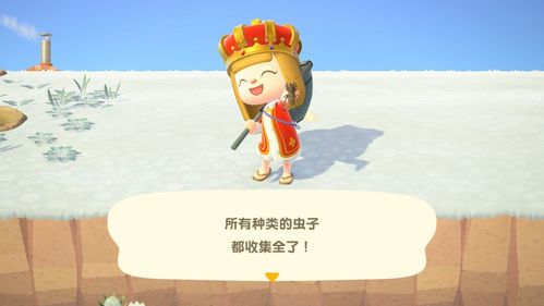 含泪整理动森稀有虫子捕捉技巧