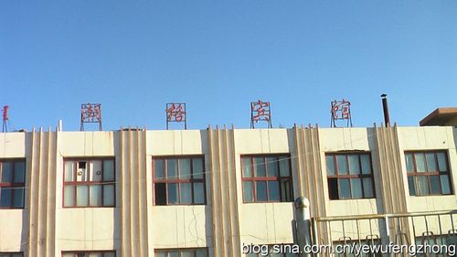 叶舞风中----心的思念2010---走进乌拉特之闲散赛乌素