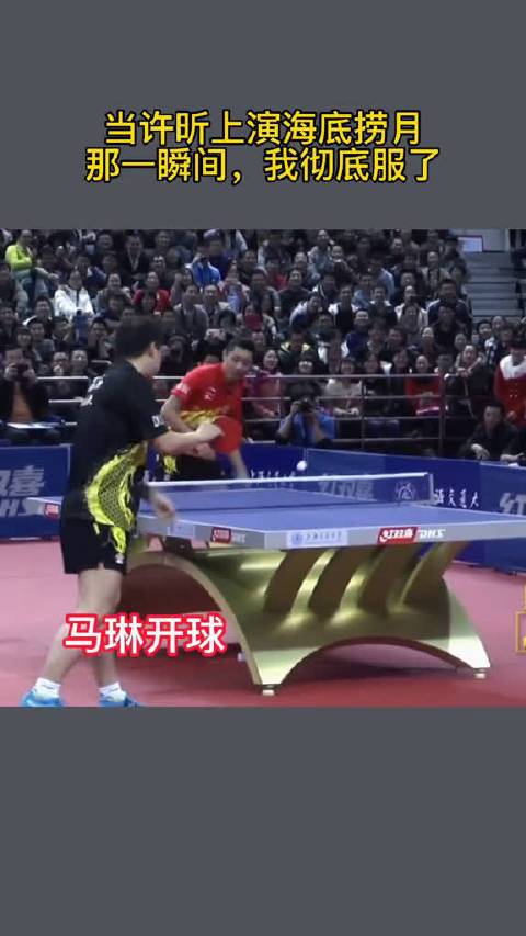 太赞了当许昕上演海底捞月那一瞬间我彻底服了
