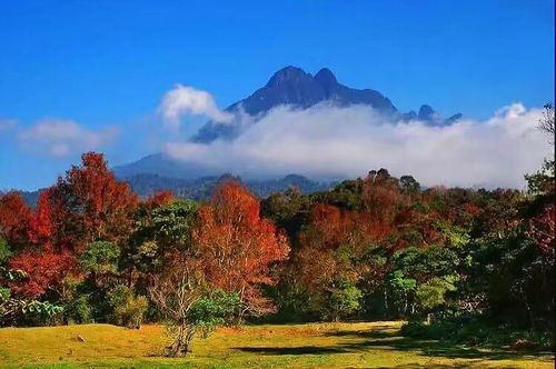 海南五指山风景!