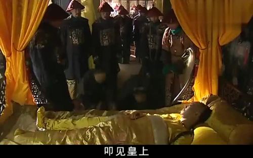 储君还没有定下来,嘉庆皇帝却突然驾崩离世,朝中大臣全都慌了
