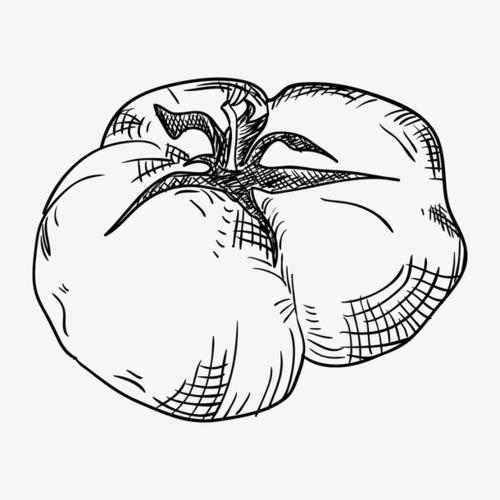 线描西红柿