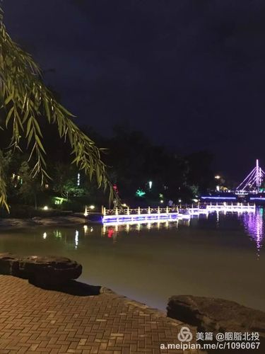 石河子景观河夜景