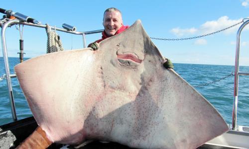宠物 正文  鳐鱼(又称魔鬼鱼)是指鳐形目 rajiformes的鱼类.