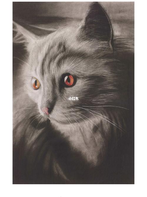 精微素描动物篇_素描_创意美术_画室_小猫_临摹_少儿创意美术_文化