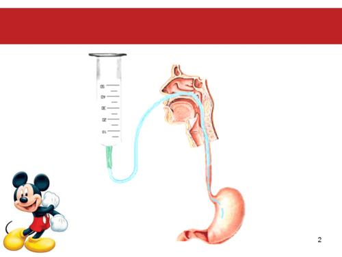 留置胃管和尿管的技巧ppt课件.ppt