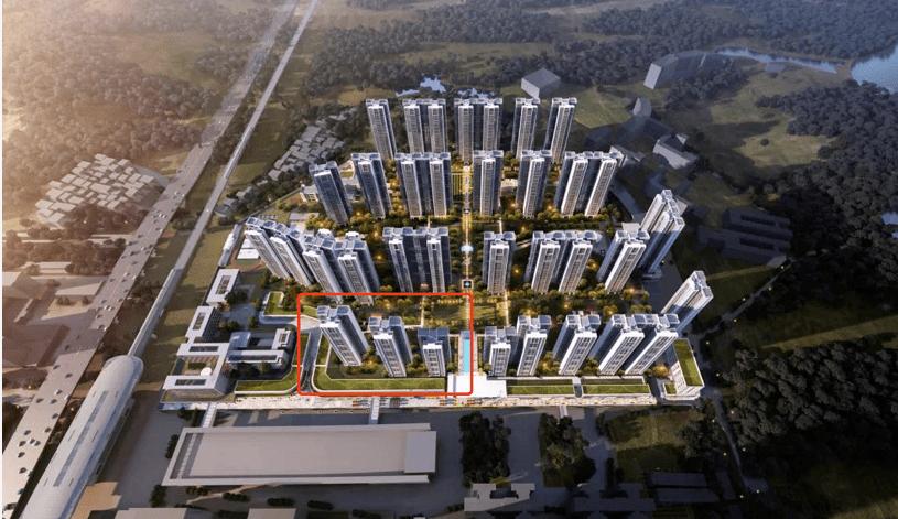 品秀镇龙项目大曝光!户型图来了!至于学校