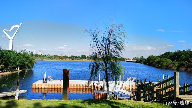 厦门园博园的夏日景致