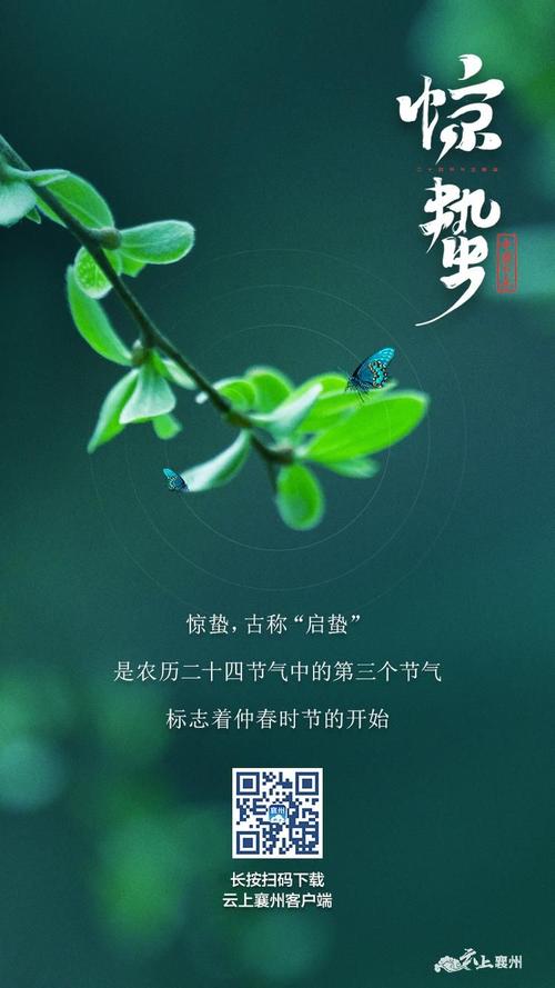 今日,惊蛰 !_襄阳襄州网