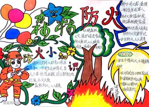 小学生森林防火手抄报图片