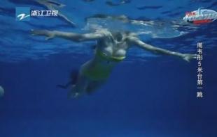 浙江卫视和新丽传媒联合制作的大型公益明星跳水真人秀《中国星跳跃》