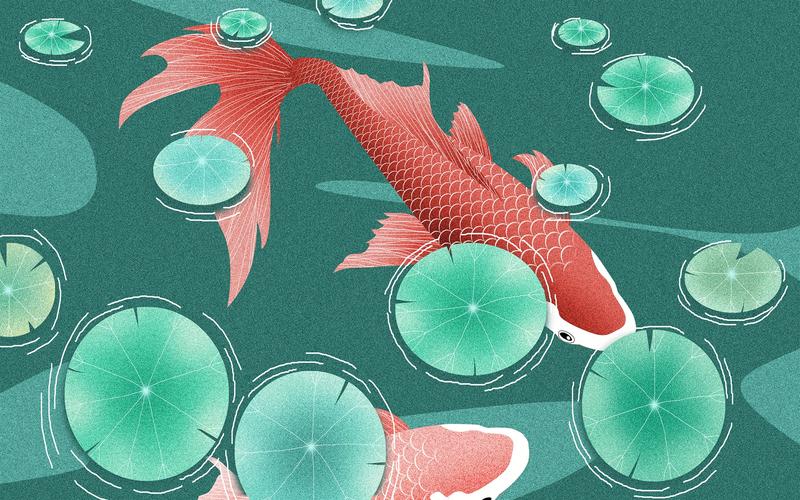幸运的锦鲤,高清图片,电脑桌面-壁纸族