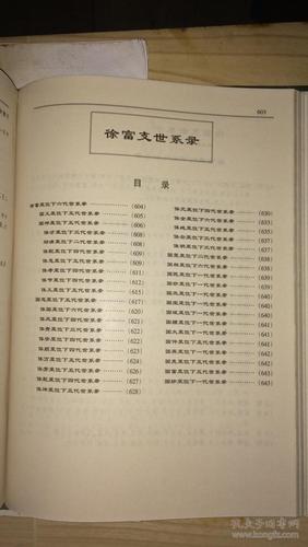 毕节十八家层台耿官堡小坝徐华屯黔西沙窝等地徐氏江南始祖徐达支系