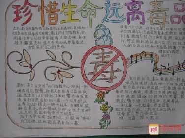 五年级禁毒手抄报a4纸