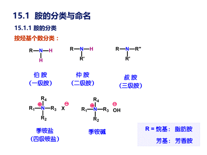 季铵盐和季胺碱.pdf