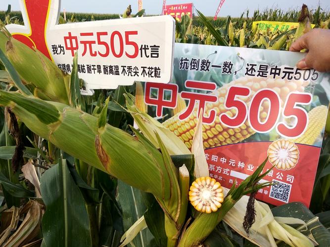 中元505亮剑黄淮——济南长青篇