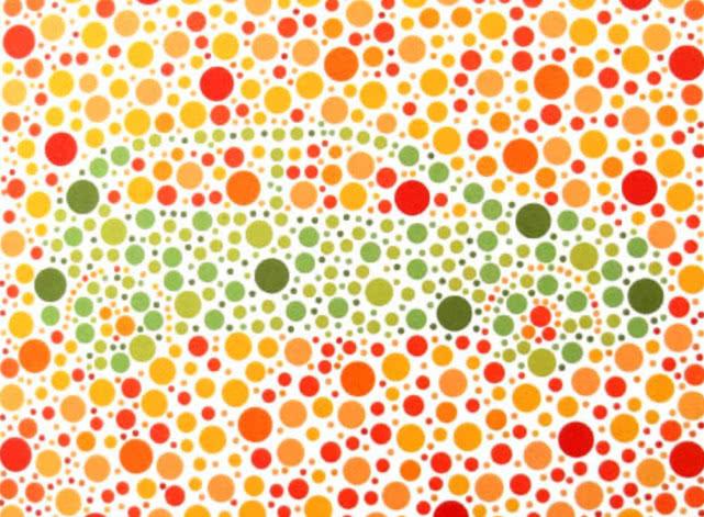 5张色盲色弱检测图,图4这只小动物真的太可爱了,铁锅炖