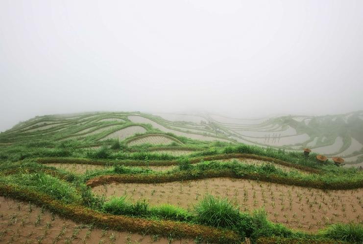 丽水千年云和梯田