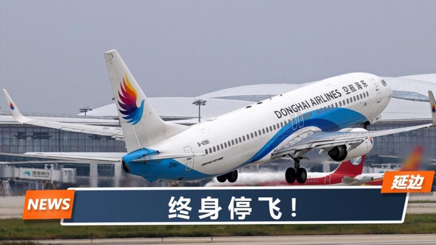 机长和乘务员高空互殴东海航空定最终处罚罚完这俩还没完事