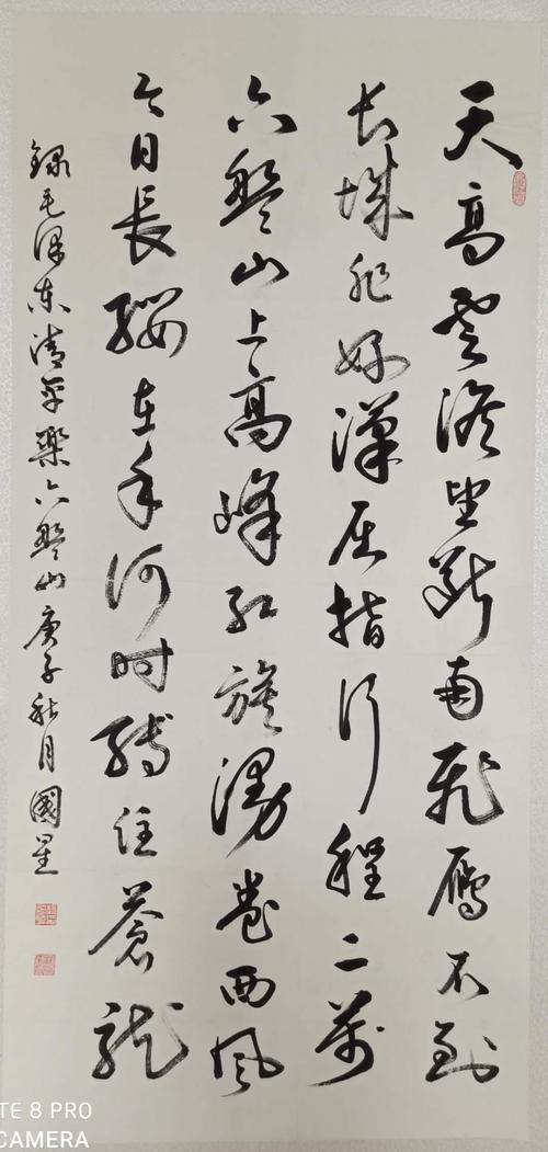 杨国星,中国老年书画家协会会员