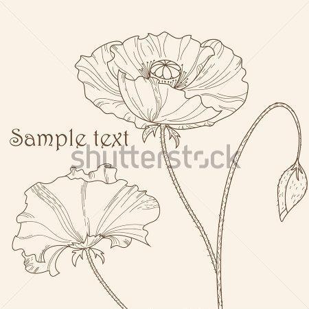 罂粟花手绘简笔画步骤