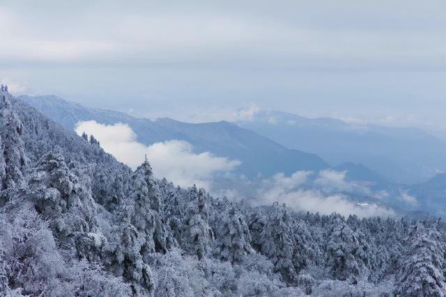 一下雪,峨眉山就成了人间仙境