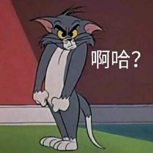 汤姆猫与杰瑞鼠表情包合集二,搞笑可爱 搞怪 猫和老鼠