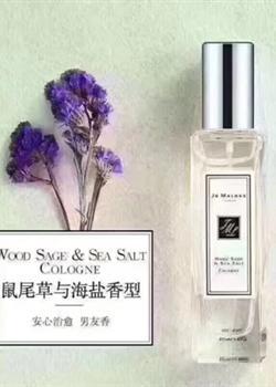 鼠尾草与海盐30ml                         
