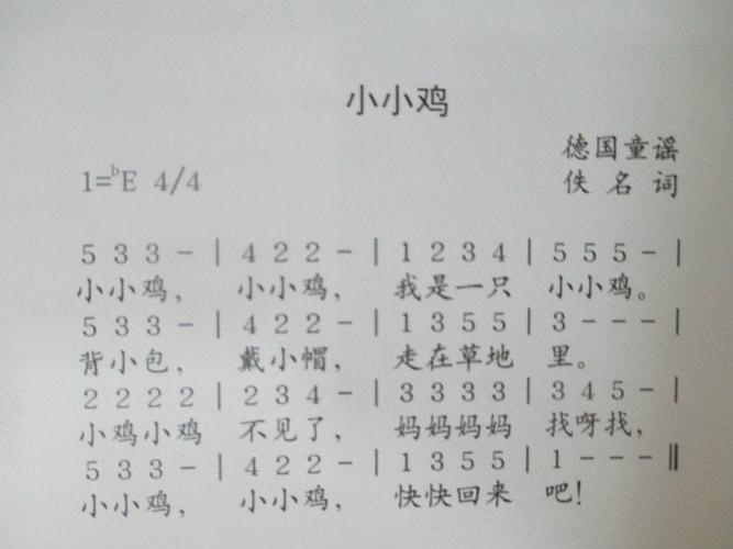 音乐活动:小小鸡