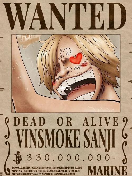 海贼王通缉令～_海贼王_影视_动漫
