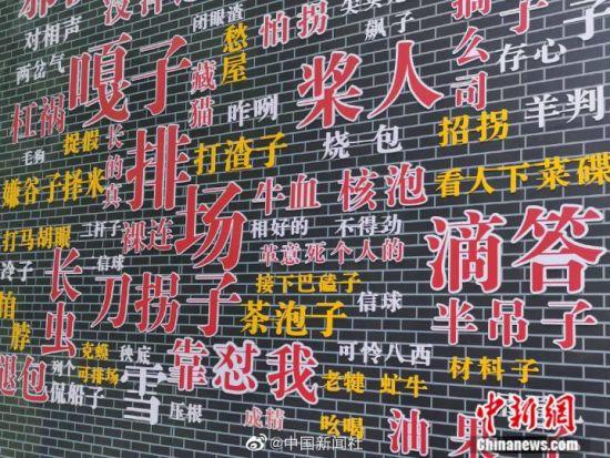 在河南省信阳市郝堂村,山脚下有一处"方言墙",游客每到这里,都会被满