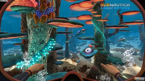 underwater survival(美丽水世界手游)