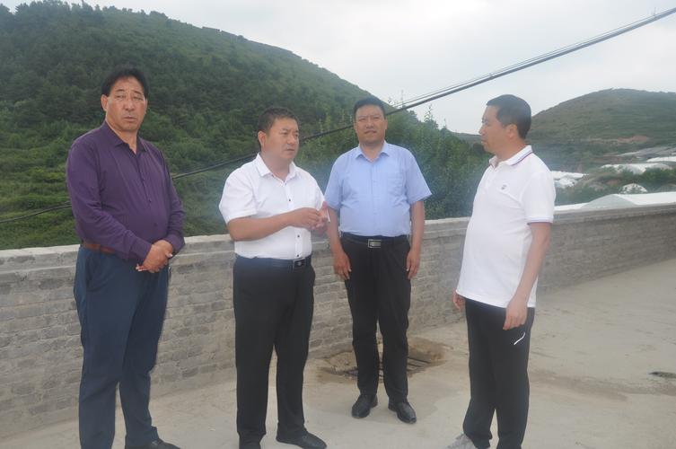 县委副书记,政法委书记刘林松在龙镇村调研产业发展情况