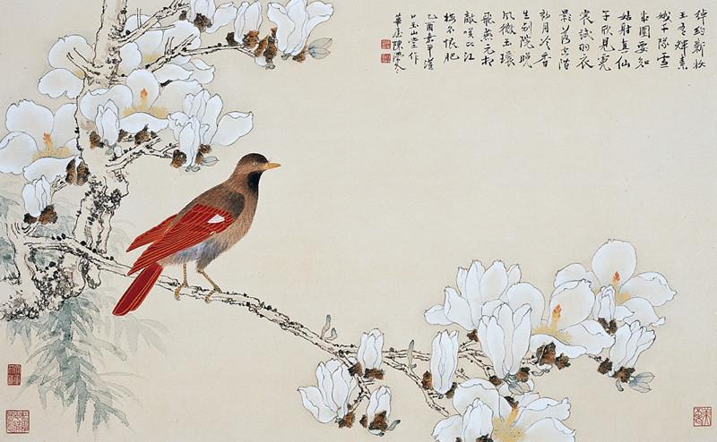 【转载】工笔花鸟画--玉兰花篇