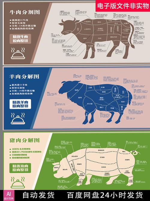 分割猪肉肉类牛羊分解图牛牛肉羊肉展板素材设计素材
