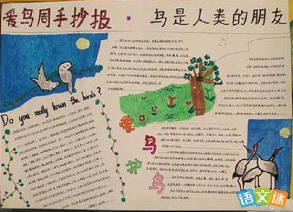 爱鸟周的手抄报的设计