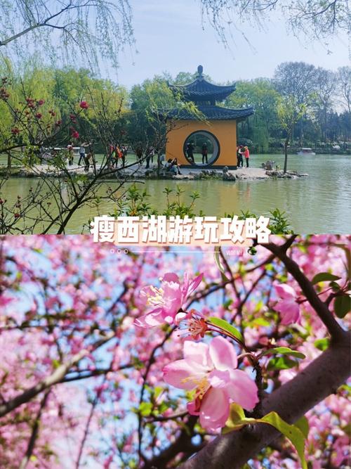 扬州|烟花三月下扬州,瘦西湖游玩攻略_瘦西湖风景区_烟花_游玩攻略_二