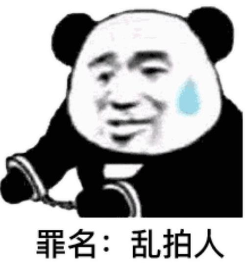 ⑥罪名:乱拍人