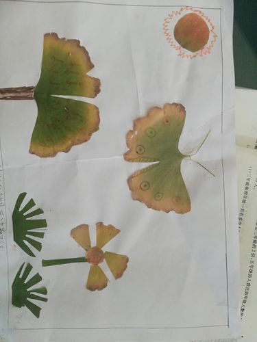 【益都师范附小】三年级七班银杏叶粘贴画优秀作品展示