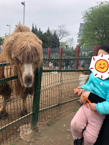 西安周末遛娃推荐_带娃_遛娃_宠物_西安世博园自由行热门攻略_遛娃好