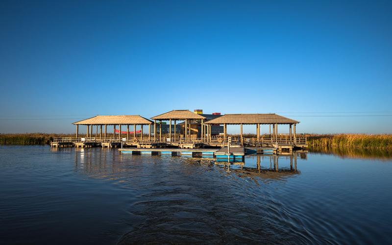 东营人均gdp全国第2,黄河在国际湿地入海,百万候鸟在中国油城迁徙