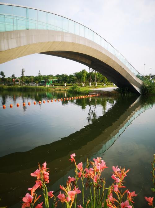 晚霞下的绵阳湿地公园