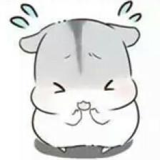 表情包 小松鼠