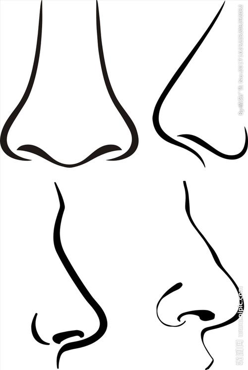 鼻子 五官 鼻子矢量图图片