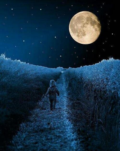 月亮与六便士读后感